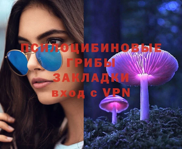 марки lsd Белокуриха